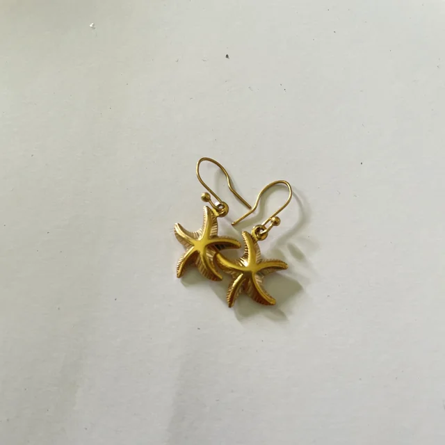 Mery El's earrings